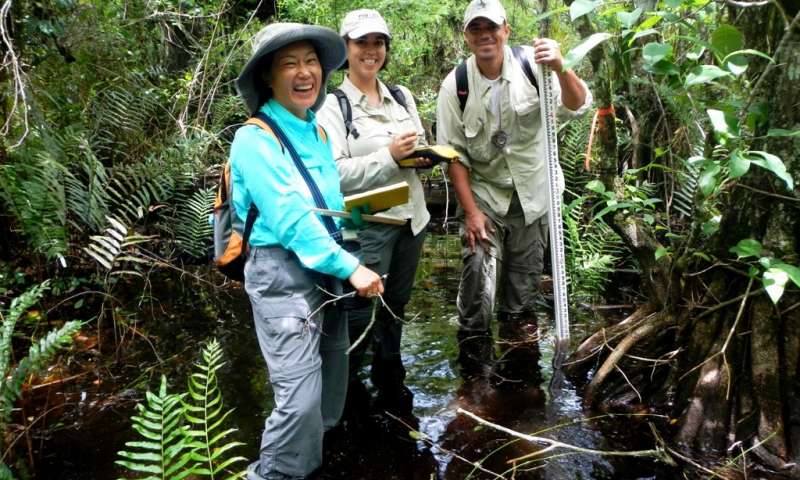Hong Liu (left) and her students Haydee Borerro (center) and Jason Downing (right) conduct research in the Fakahatchee Strand Preserve State Park in 2014. Credit: Florida International University