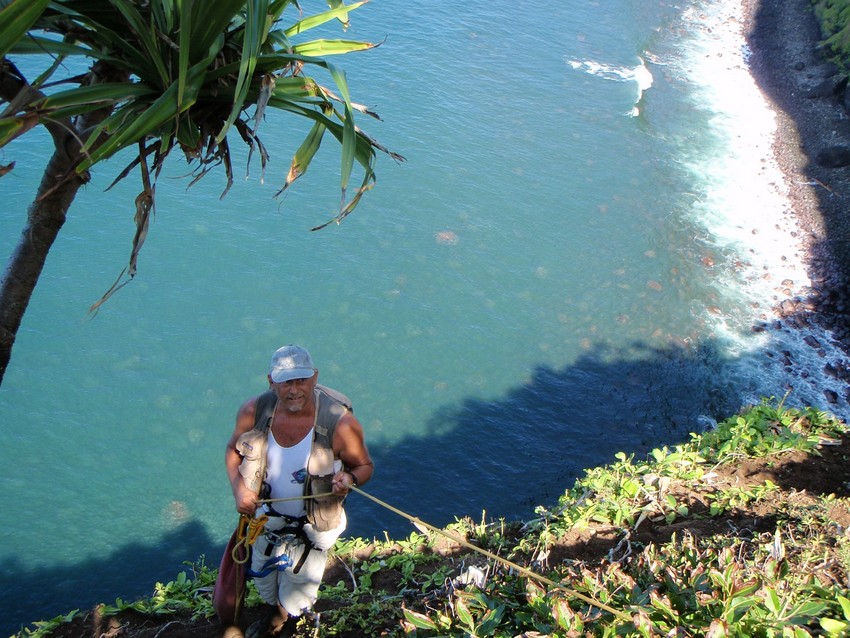 Steve Perlman on the cliffs Molokai. Photo by Hank Oppenheimer 