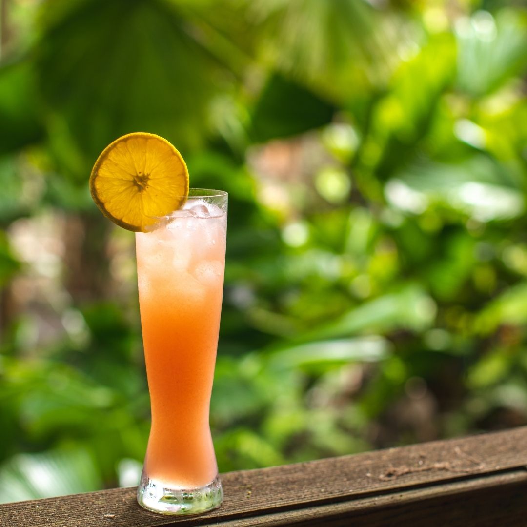 Four Crowd Pleasing Botanical Cocktails to Try at Home NTBG