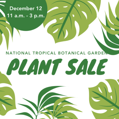 plant sale on december 12