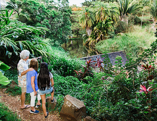 garden tours in kauai
