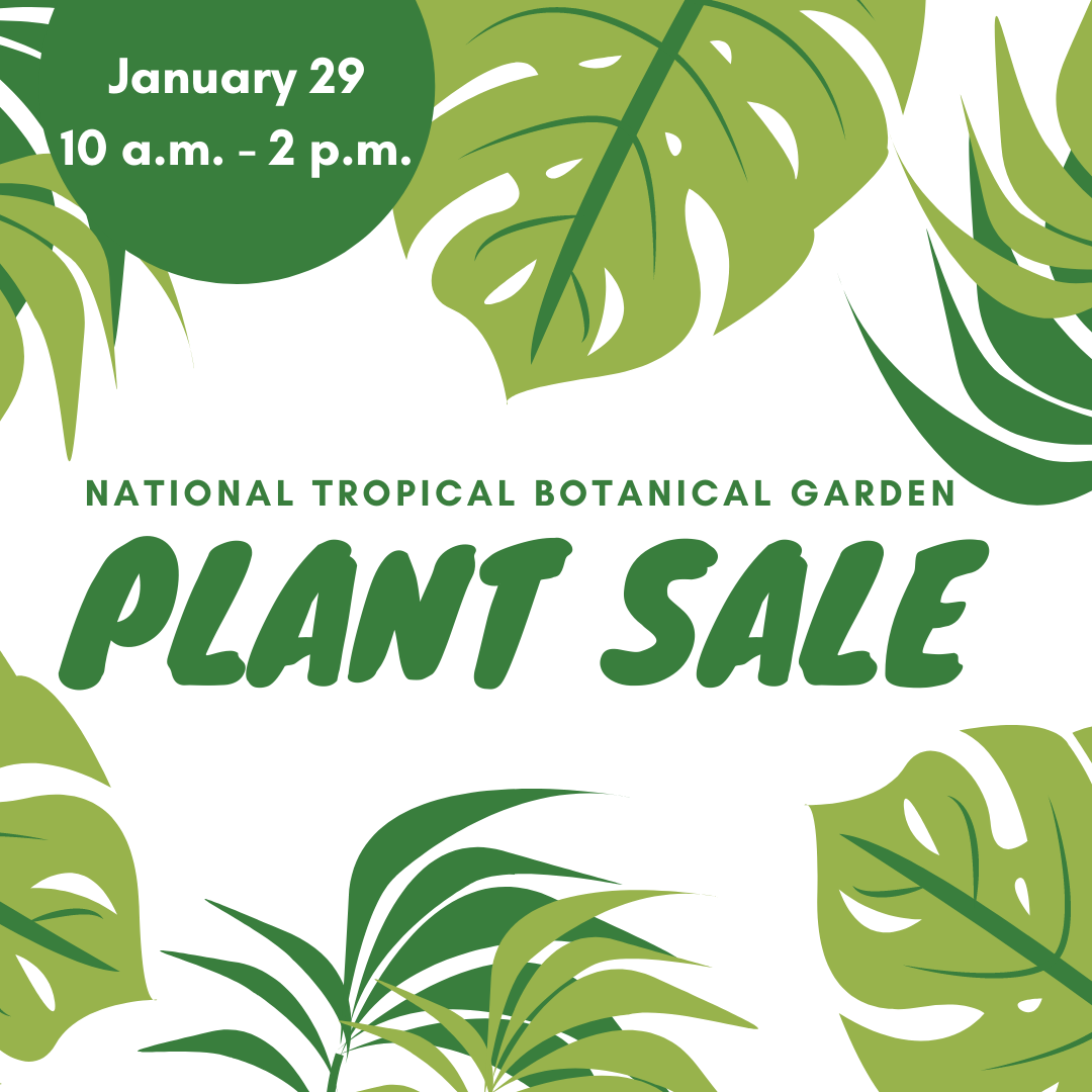 Plant sale on January 29