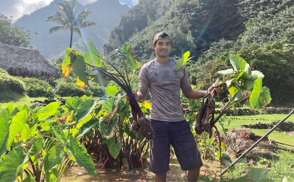 Randy Umetsu stands in a taro loi at Limahuli Garden and Preserve