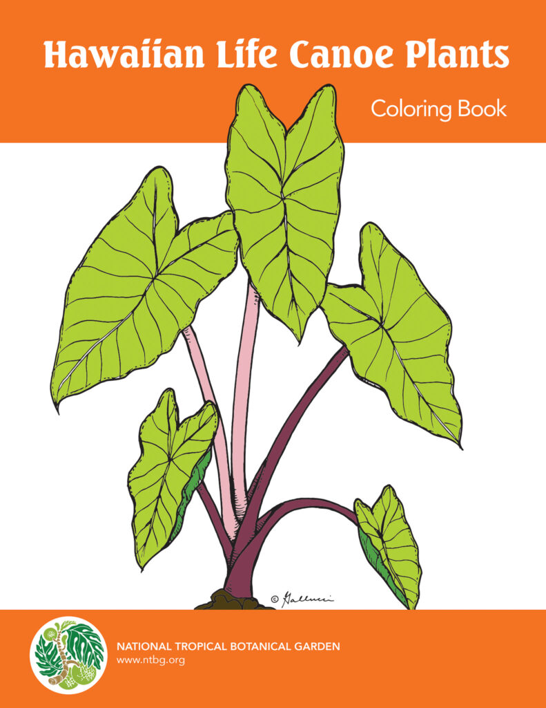 Tropical Plant Coloring Book