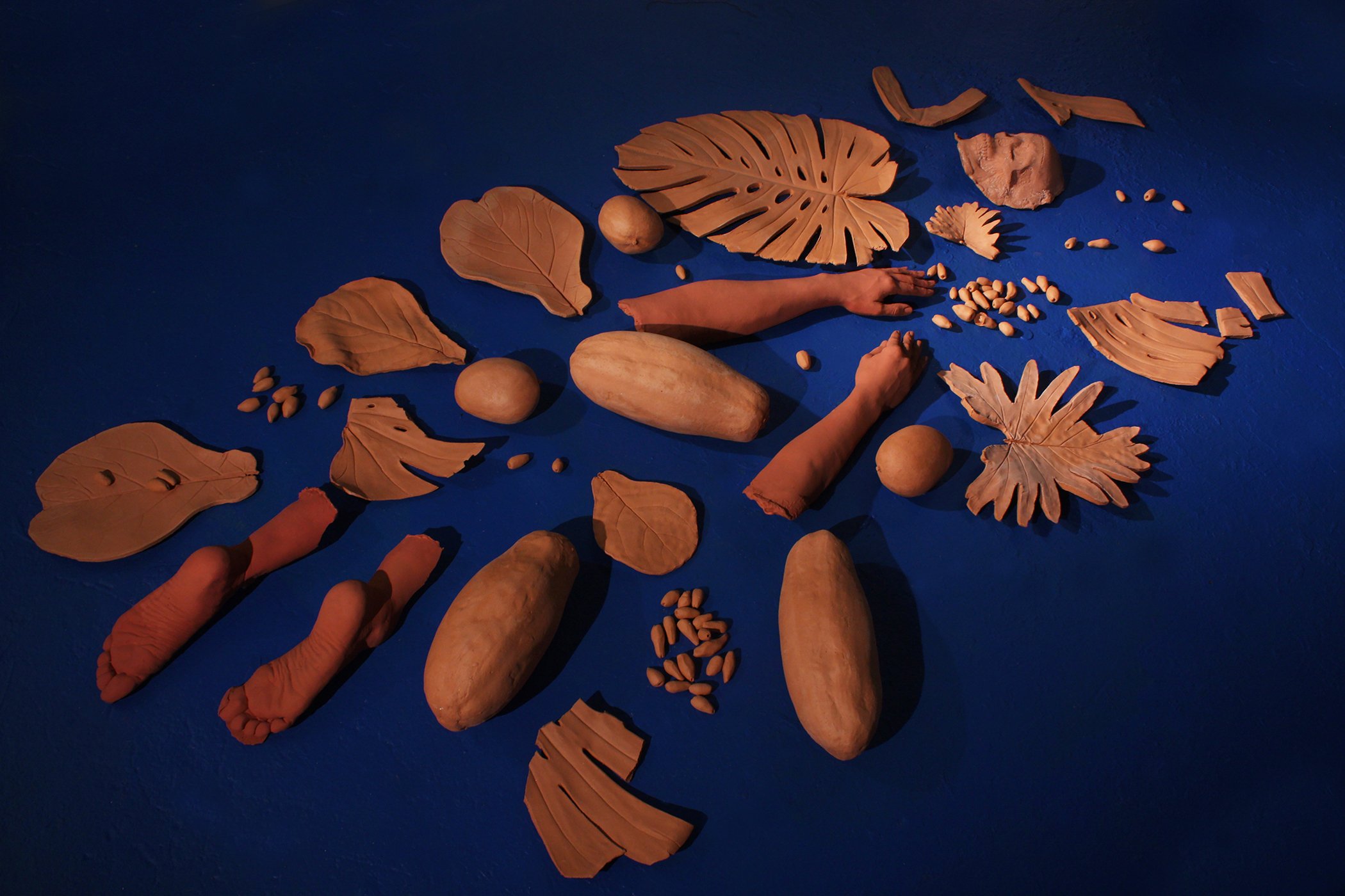 BiscayneArtist Interviews National Tropical Botanical Garden