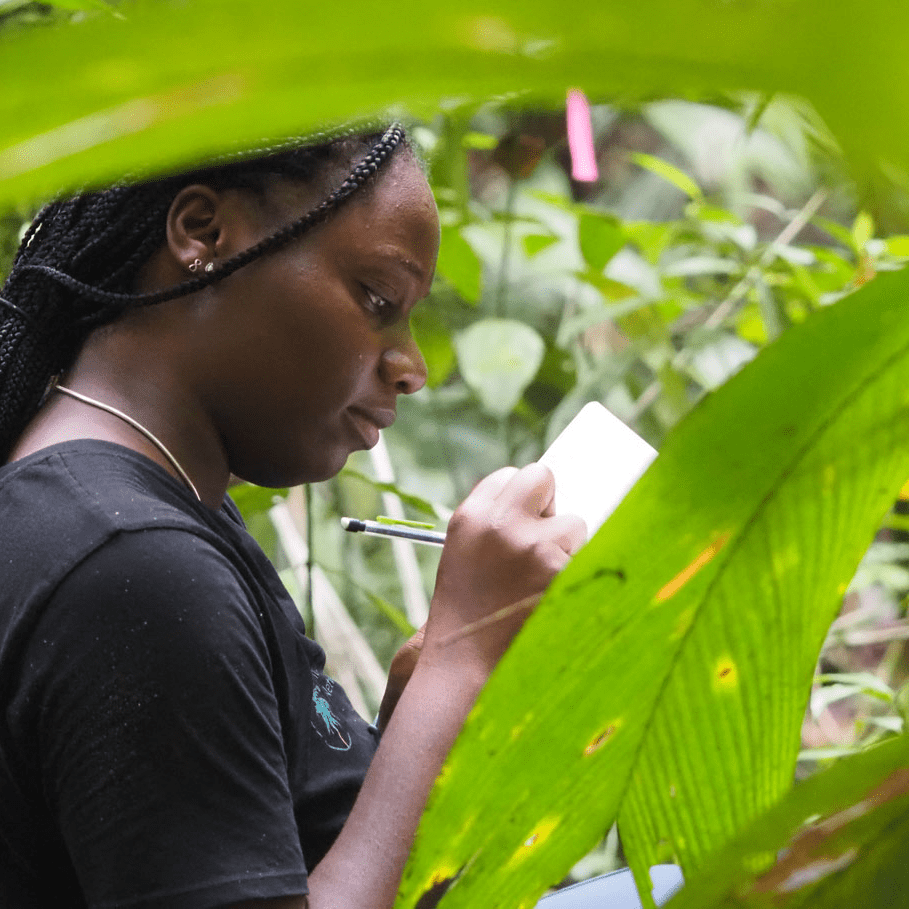 growing-the-next-generation-of-botanists-at-the-ictb-at-the-kampong