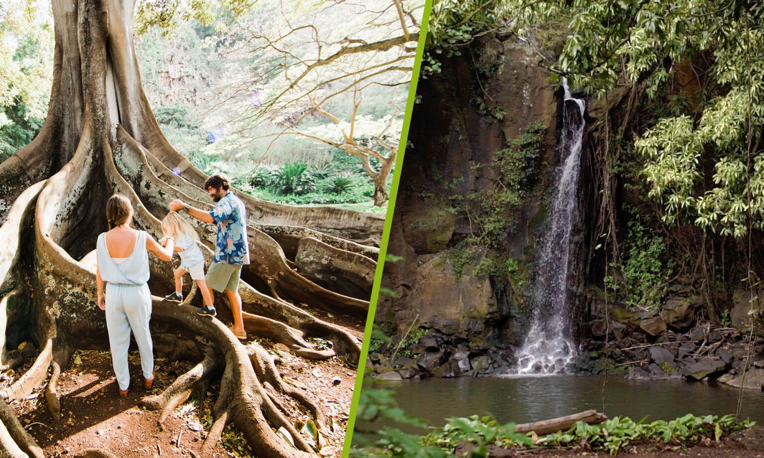 Best of Both Worlds tour National Tropical Botanical Garden