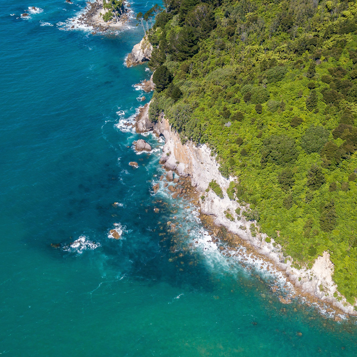 Staying Afloat - National Tropical Botanical Garden