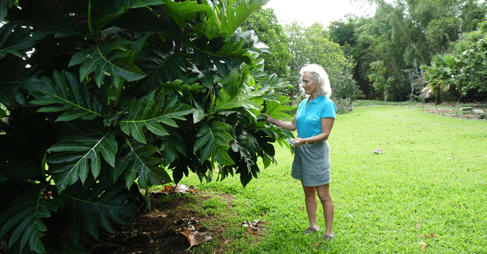 The David Fairchild Medal 