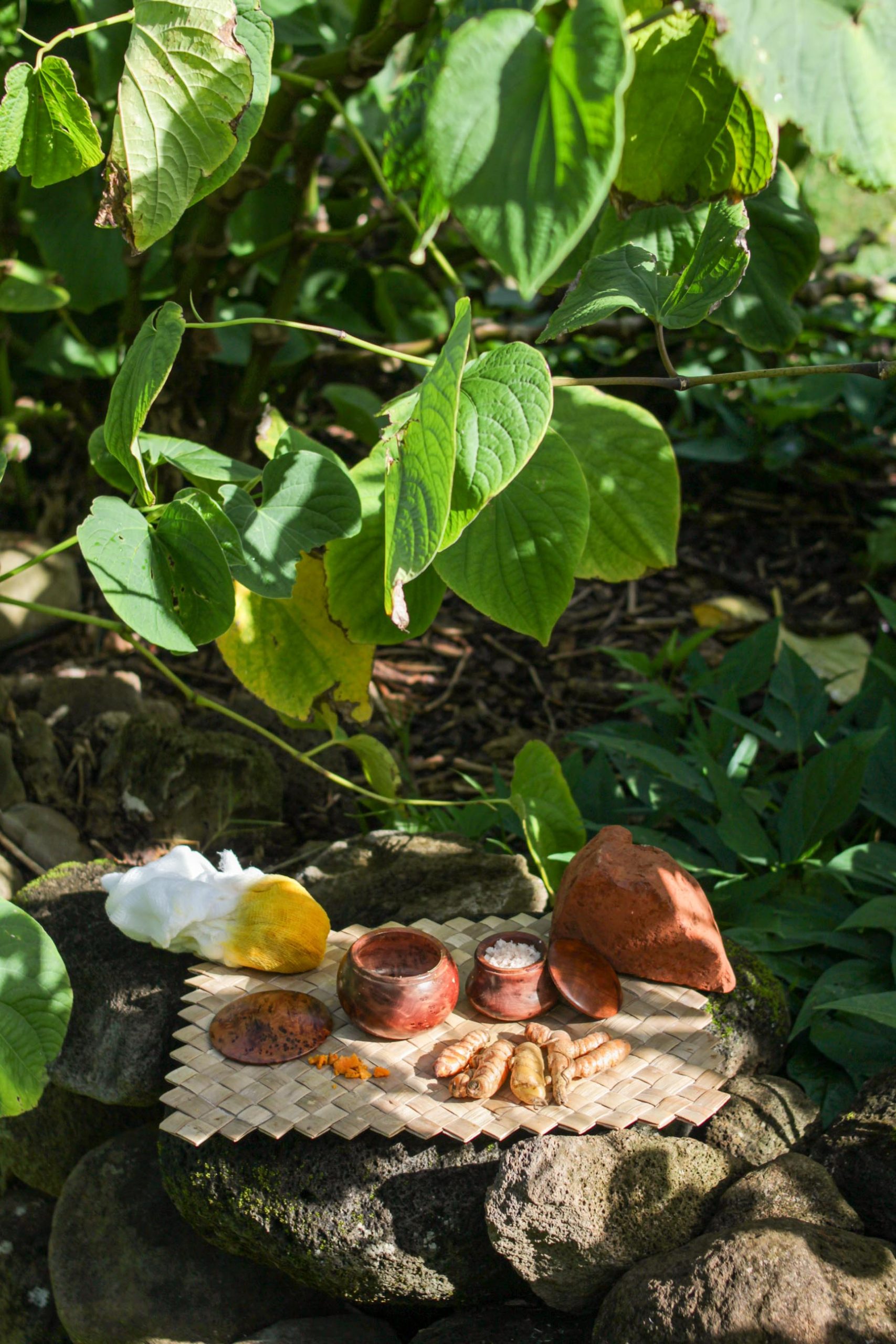 A photo of olena, ginger